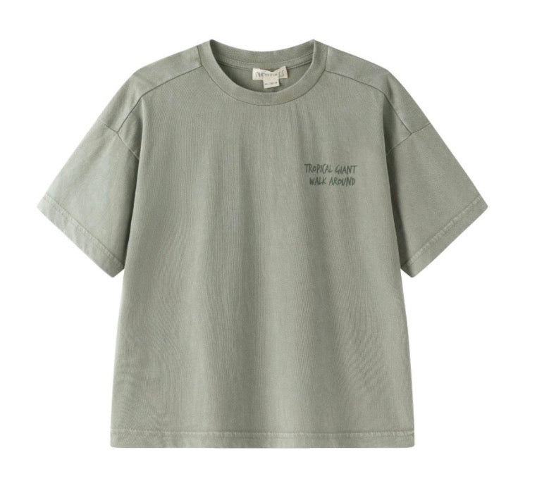 CAMISETA COLOR VERDE CAQUI