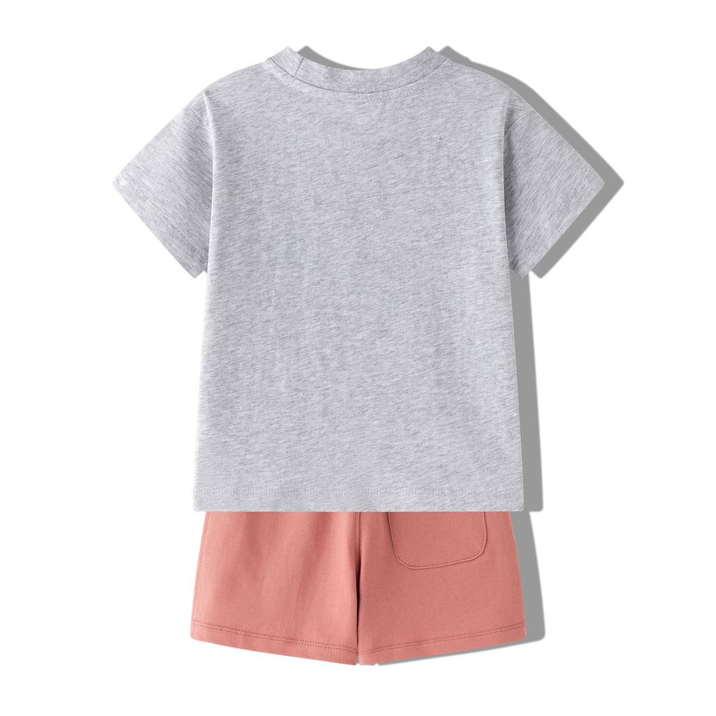 Conjunto cebra