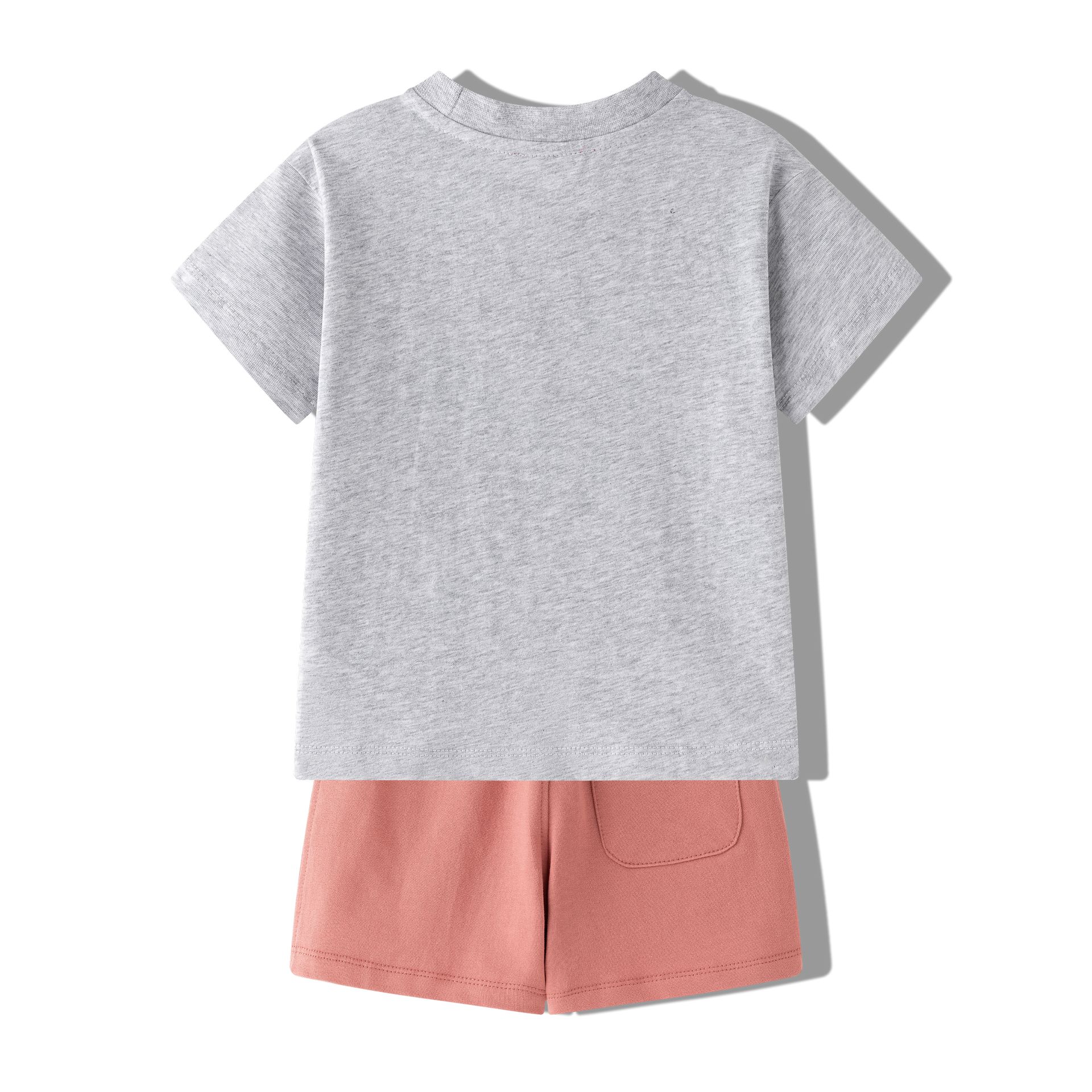Conjunto cebra