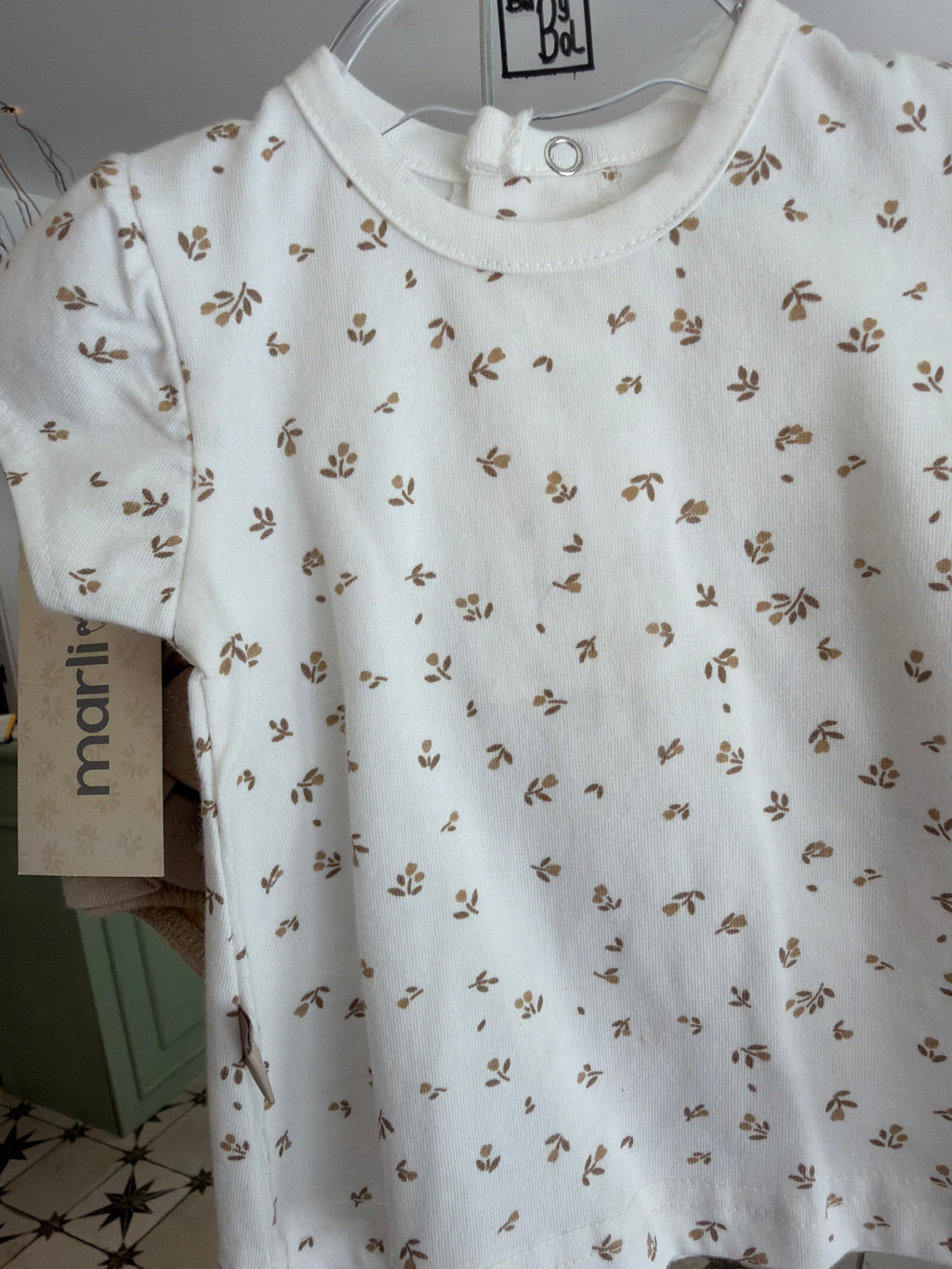 Conjunto hojas camel