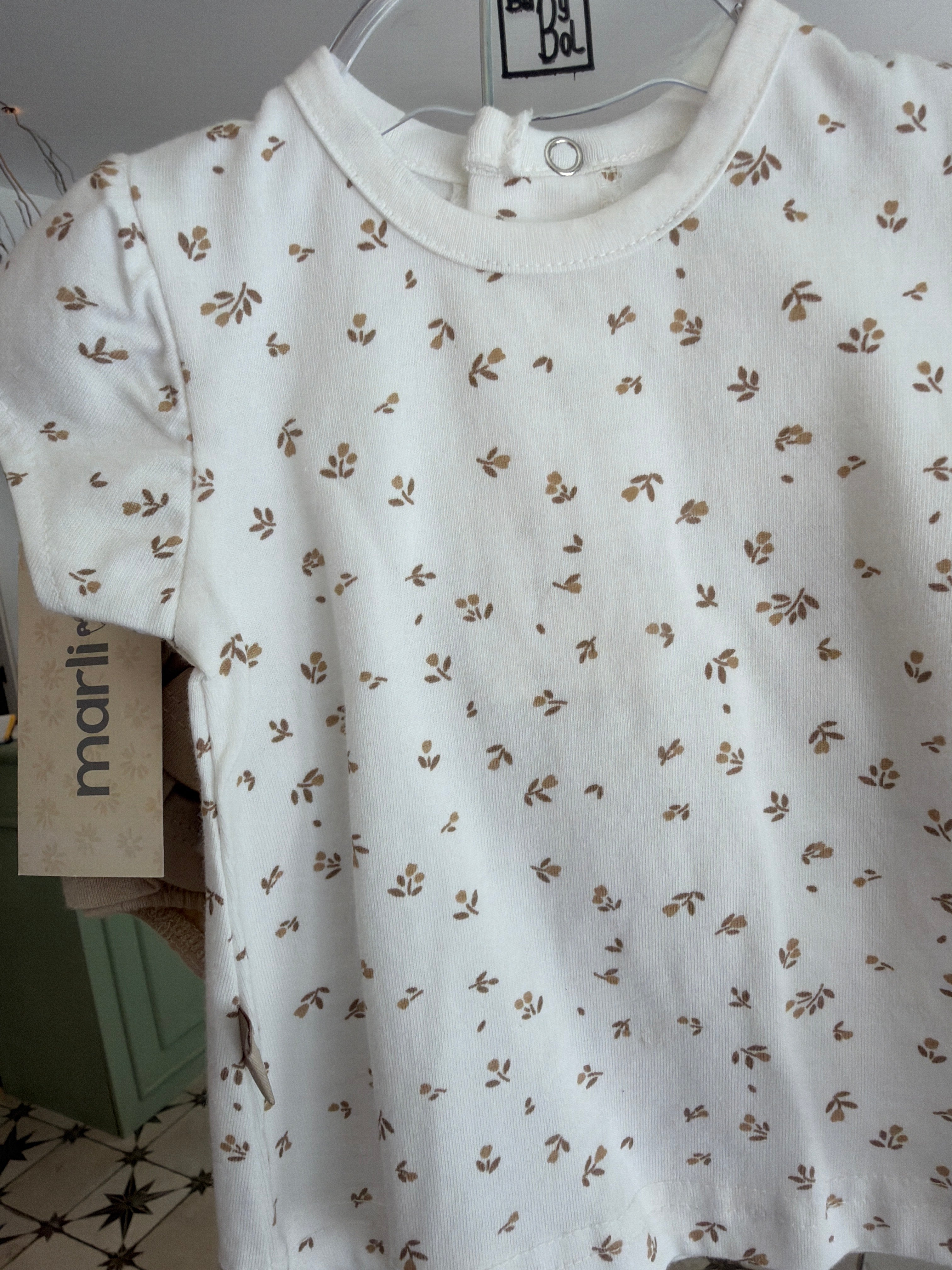 Conjunto hojas camel
