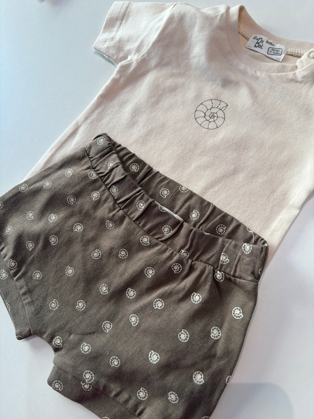 Conjunto caracola