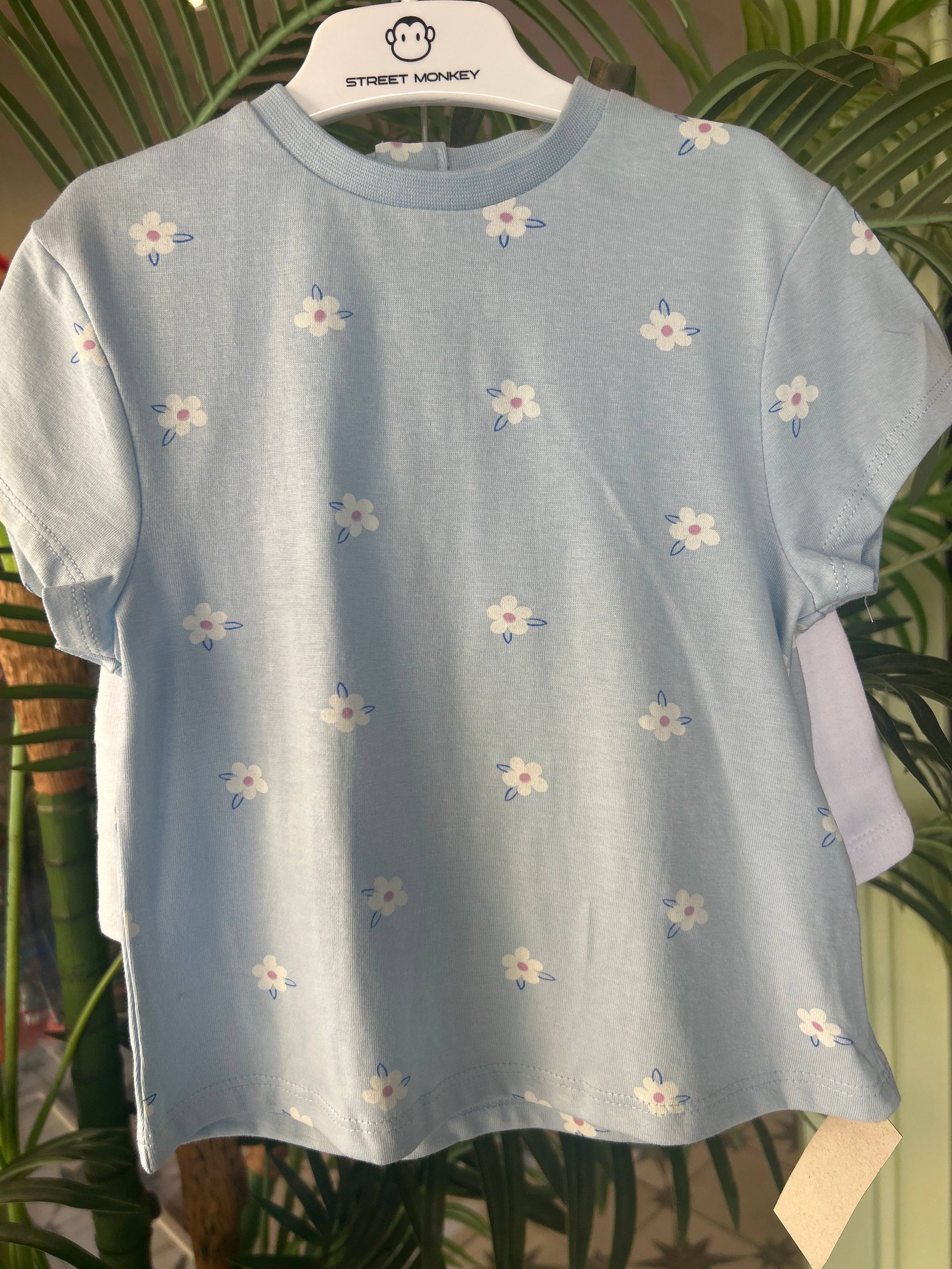 Conjunto margarita
