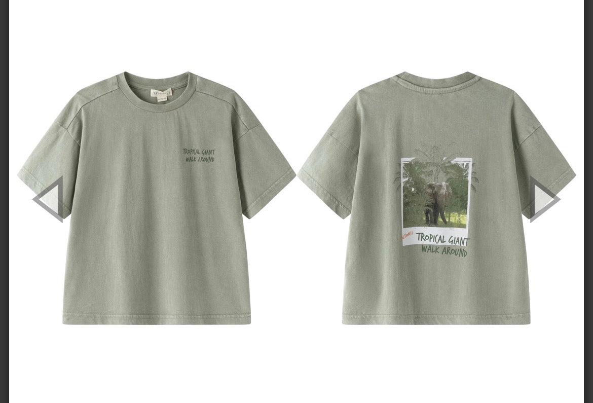 CAMISETA COLOR VERDE CAQUI