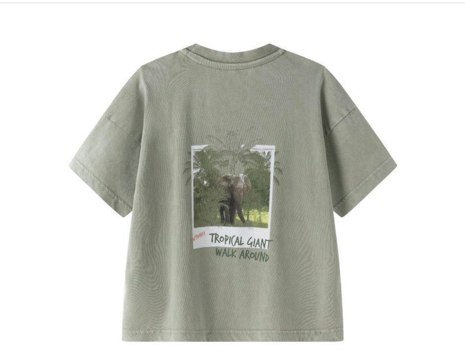 CAMISETA COLOR VERDE CAQUI