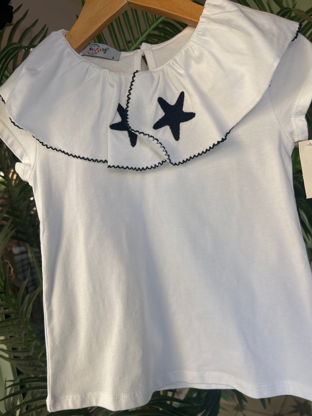 Conjunto Estrella