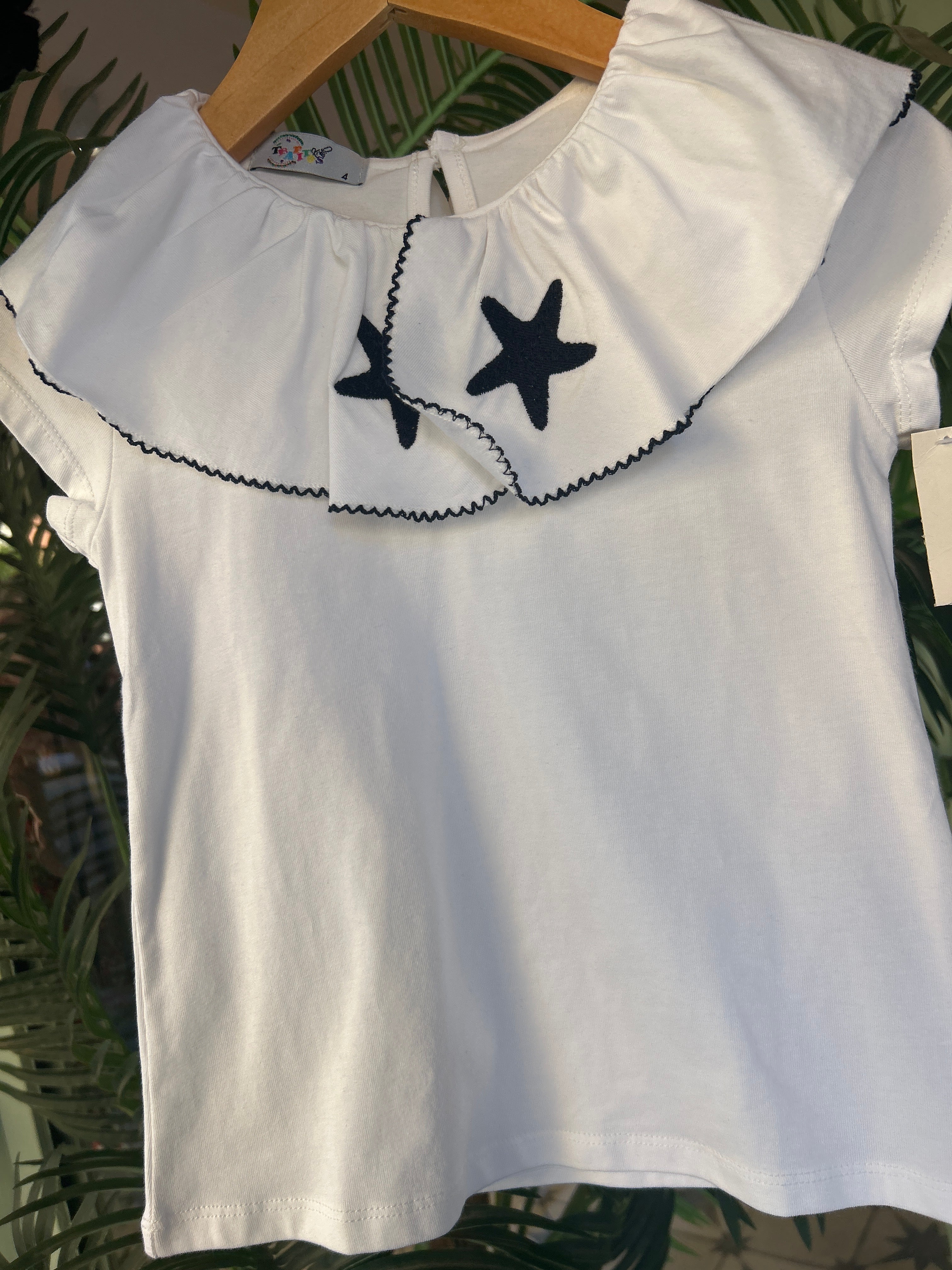 Conjunto Estrella