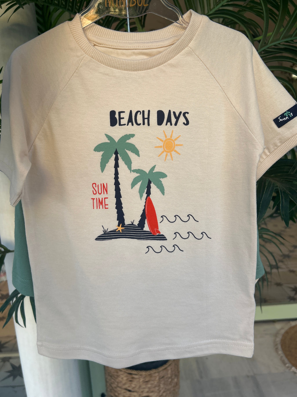 Conjunto palmera