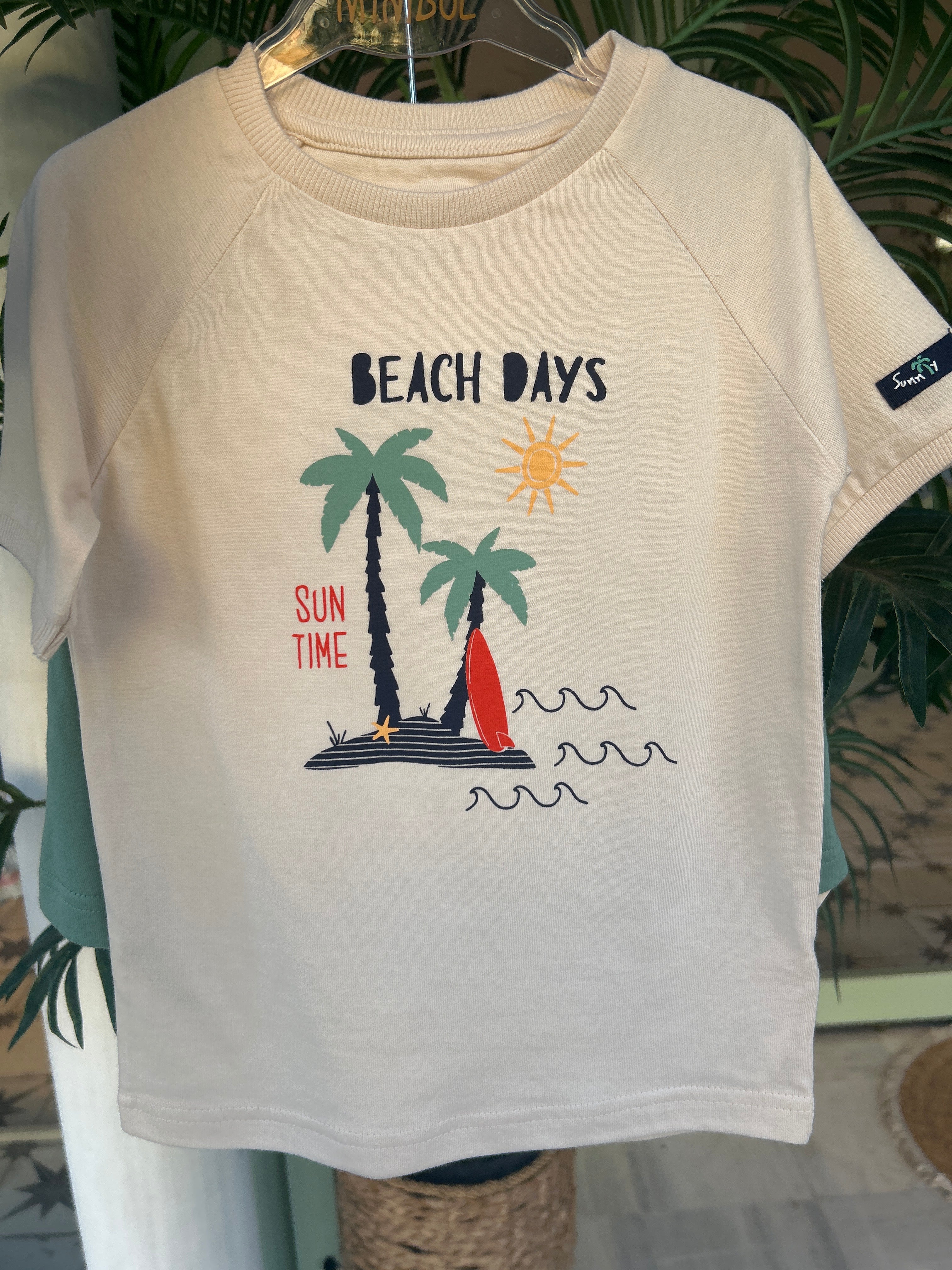Conjunto palmera