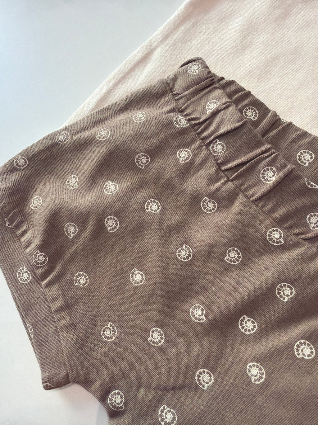 Conjunto caracola