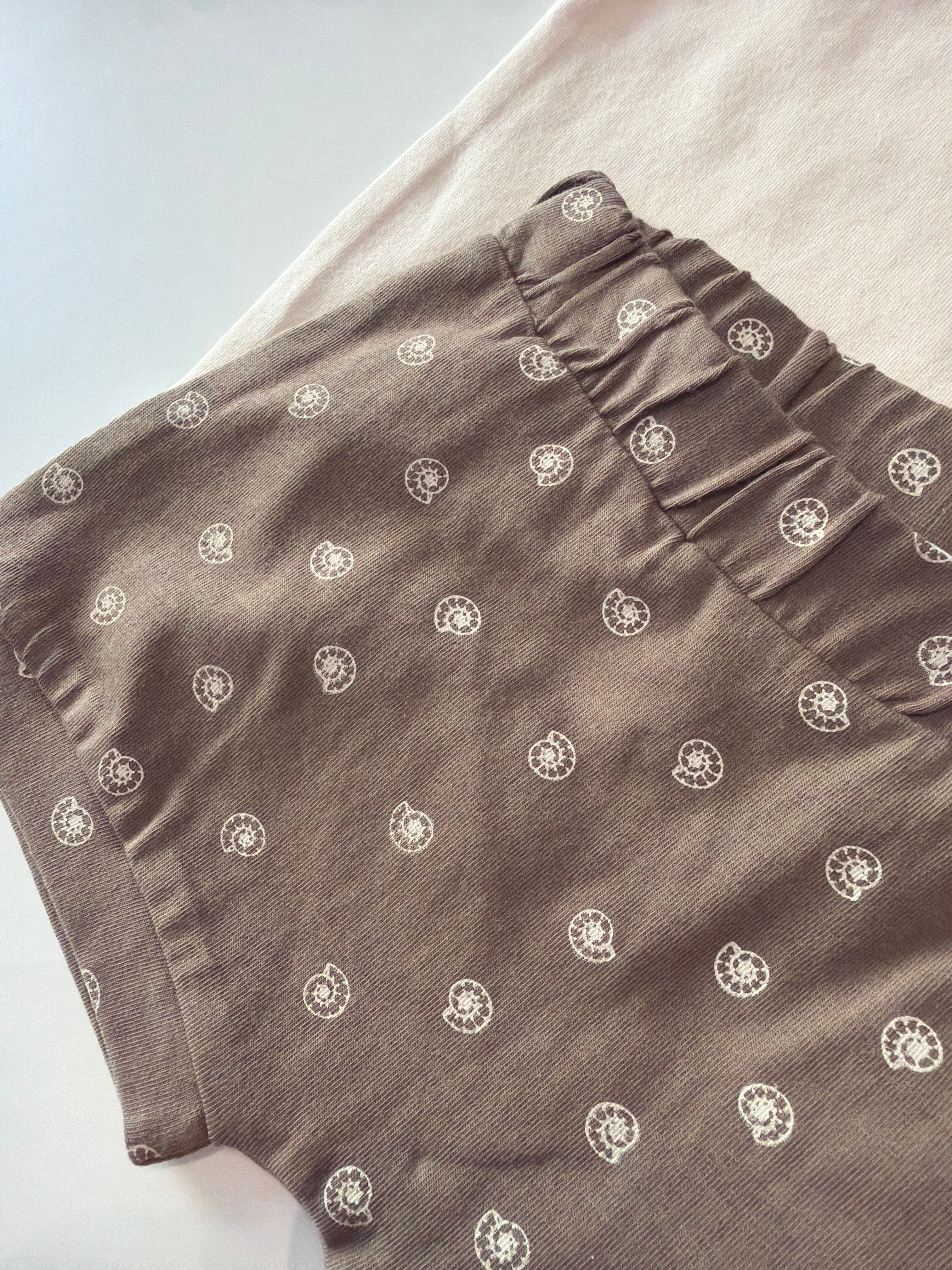 Conjunto caracola